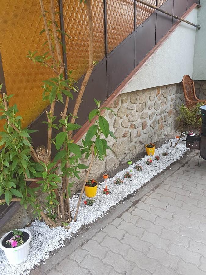 Nimrod Vendeghaz Sopron Hotel ภายนอก รูปภาพ